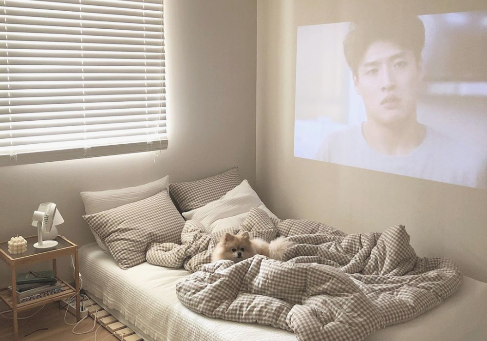 15+ Ý Tưởng Thiết Kế Phòng Ngủ Nhỏ 2m2 Đẹp, Hiện Đại, Tối Ưu Không Gian Chật Hẹp