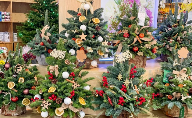 Top 10 mẫu cây thông noel mini để bàn được ưa chuộng làm quà tặng